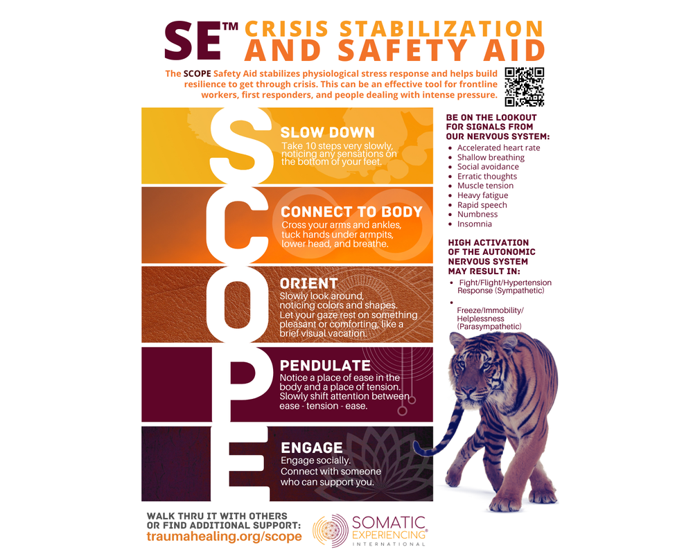 Image of the SE Crisis Stabilization and Safety Aid SCOPE toolkit